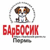 Логотип телеграм канала @barbosik_perm — БАрБОСИК