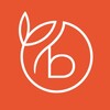 Логотип телеграм канала @barhatline — Бархат • Цветы • Доставка
