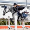 Логотип телеграм канала @barinovapolli — Рыжый фотограф с серым конем