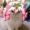 Логотип телеграм канала @barmalinicha — Бар Малиныча🌿