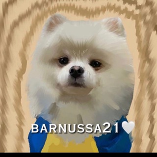 Логотип телеграм канала @barnussa21 — Ксюша с Барнюшей 👺