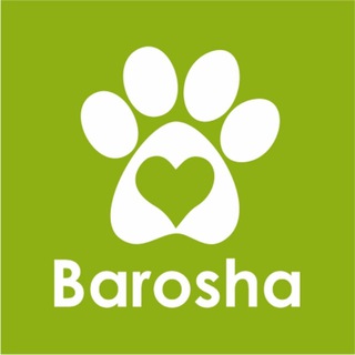 Логотип телеграм -каналу baroshach — Barosha