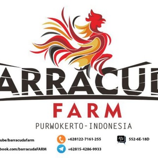 Logo saluran telegram barracudafarm_showroom — Barracuda Farm (Showroom/Display)