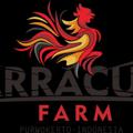 Logo saluran telegram barracudafarm — Barracuda Farm (History/Reference)