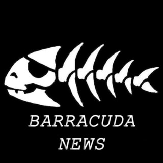 Логотип телеграм канала @barracudanew — БАРРАКУДА reserv