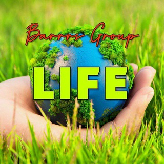 Логотип телеграм канала @barrrslife — Barrrs | Life