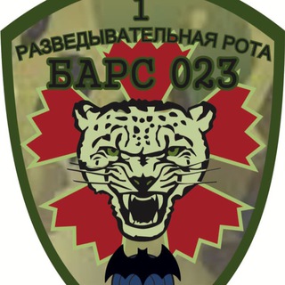 Логотип телеграм канала @bars023 — БАРС _023