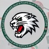 Логотип телеграм канала @barsssler — Барсы в игре! 🐾