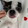 Логотип телеграм канала @barterlove — Любовь по бартеру и без ♥️