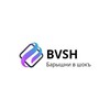 Логотип телеграм канала @baryshni_v_shoke — BVSH