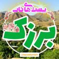 لوگوی کانال تلگرام barzokanlain — پُستهآی نآب(بَرزک آنلآین)