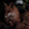Логотип телеграм канала @basement_souls — |♪Пᴏдʙᴀᴧ ɜᴀбᴧудɯих дуɯ.|