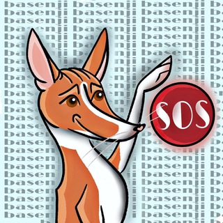 Логотип телеграм канала @basenji_help — basenji_HELP