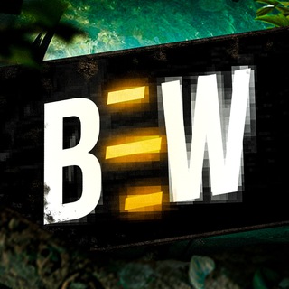 Логотип телеграм канала @basewf — BSW | Base Secrets Warface