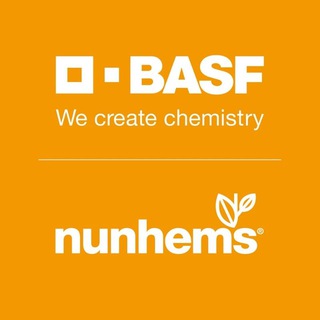 Логотип телеграм канала @basf_nunhems_russia — Nunhems BASF Россия
