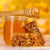 Логотип телеграм канала @bashmed102otveti — 🐝Башкирский мёд.(02/102)2017-2024г.🐝