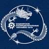 Логотип телеграм канала @bashrts_official — БашРТС