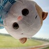 Логотип телеграм канала @basik_avrora — °°🐑💗Домик басиков💗🐑°°