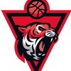 Логотип телеграм канала @baskettigers — Тигры