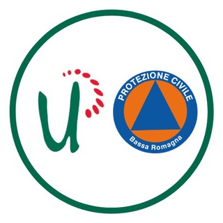 Logo del canale telegramma bassaromagnaemergenze - Bassa Romagna Emergenze