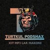 Telegram kanalining logotibi bassmuzic_azeri_turkcha — 🎶 TURTKUL PODSHAX 👑