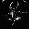 Логотип телеграм канала @bathory_cf — Bathory cf