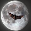Telegram channel адвокат дьявола logo