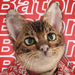 Логотип телеграм канала @batoncat — Baton