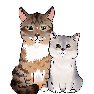 Логотип телеграм канала @batonthecatofficial — Batonthecat