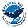 Логотип телеграм канала @batspas — 🦇 batspas 🦇