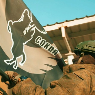 Логотип телеграм канала @battalion_sokol — Боевой Сокол