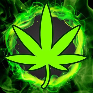 Telegram арнасының логотипі batumi_market_place — Batumi Market Place 🍀❄🍀❄🍃