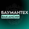 Логотип телеграм канала @baumantech_hr — БАУМАНТЕХ. Вакансии