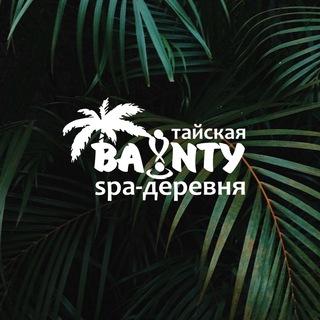 Логотип телеграм канала @baunty_spa_kzn — BAUNTY-SPA