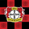 Логотип телеграм канала @bayer04neverluzenn — Bayer Leverkusen | Байер Леверкузен