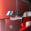 Telegram channel bayerische logo