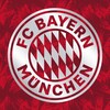 Логотип телеграм канала @bayermunchen_tg — Бавария - Die Bayern Fans