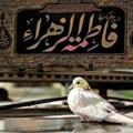 لوگوی کانال تلگرام baytaalahzan — "بَيتُ أَلاحزآنِ الفَاطِمي"