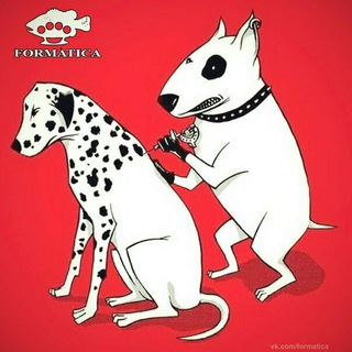 Логотип телеграм канала @bazaformatica — Своя Культура