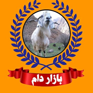 لوگوی کانال تلگرام bazar_dam — بازاردام