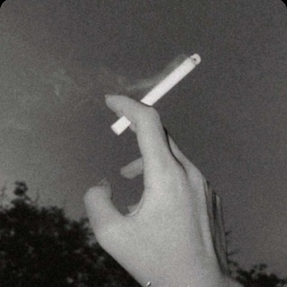 لوگوی کانال تلگرام bb_4n — نيشان🧠.