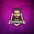 Logo saluran telegram bb6b7 — Euphoria Scrims 🇮🇶