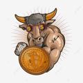 Logo saluran telegram bbbulls — 🔥Big Binance Bulls 🚀🚀