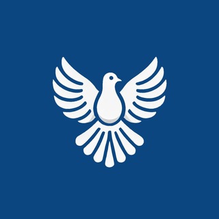 Telegram channel ByeByeDPI Releases logo