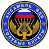 Логотип телеграм канала @bberets — Группа "Голубые береты"