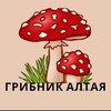 Логотип телеграм канала @bbnnmmio — АРТЁМ МУХОМОРЫ ЕЖОВИК
