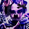 Логотип телеграм канала @bbtop_55 — 🖤 АГРО ДАНИКА 🖤