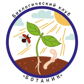 Логотип телеграм канала @bc_botanik — Биологический клуб «БОТАНИК»