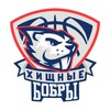 Логотип телеграм канала @bc_predatorybeaversvsu — БК ВГУ «Хищные Бобры»