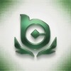 Логотип телеграм канала @bcg_cs — BC Game Esports | CS2